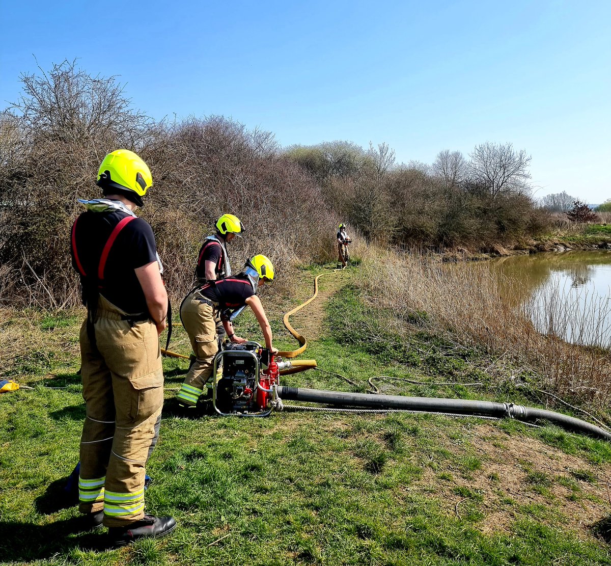 WSFRS C.O.G tweet media