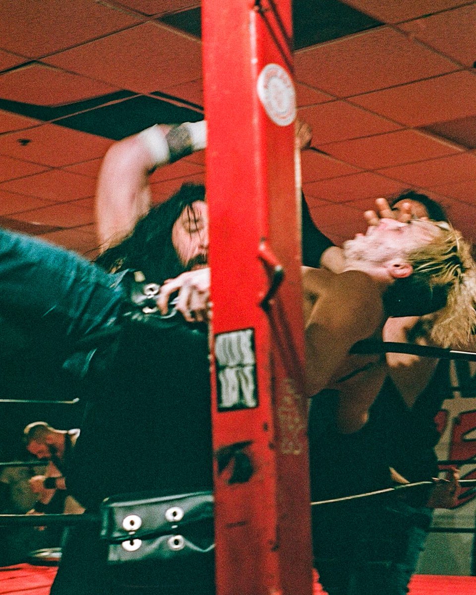 proctor📸 tweet media