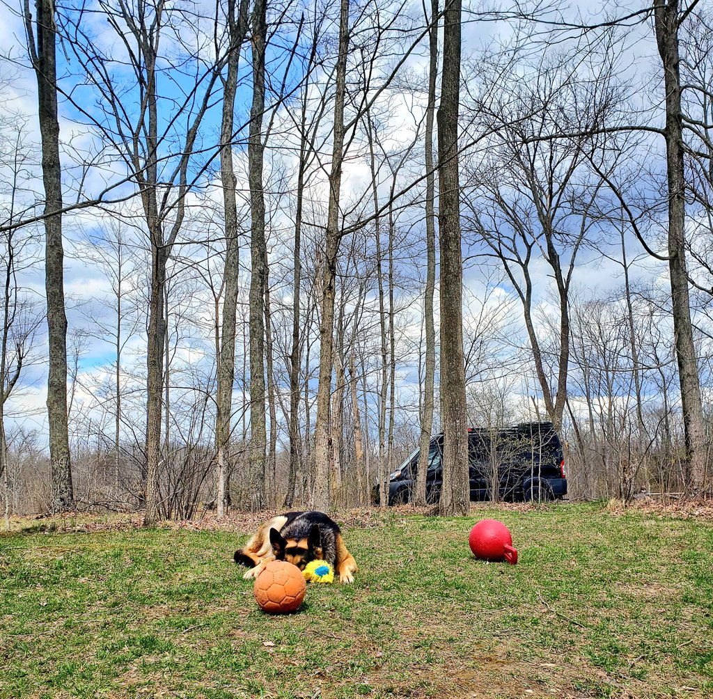 Like a dragon with his hoard...