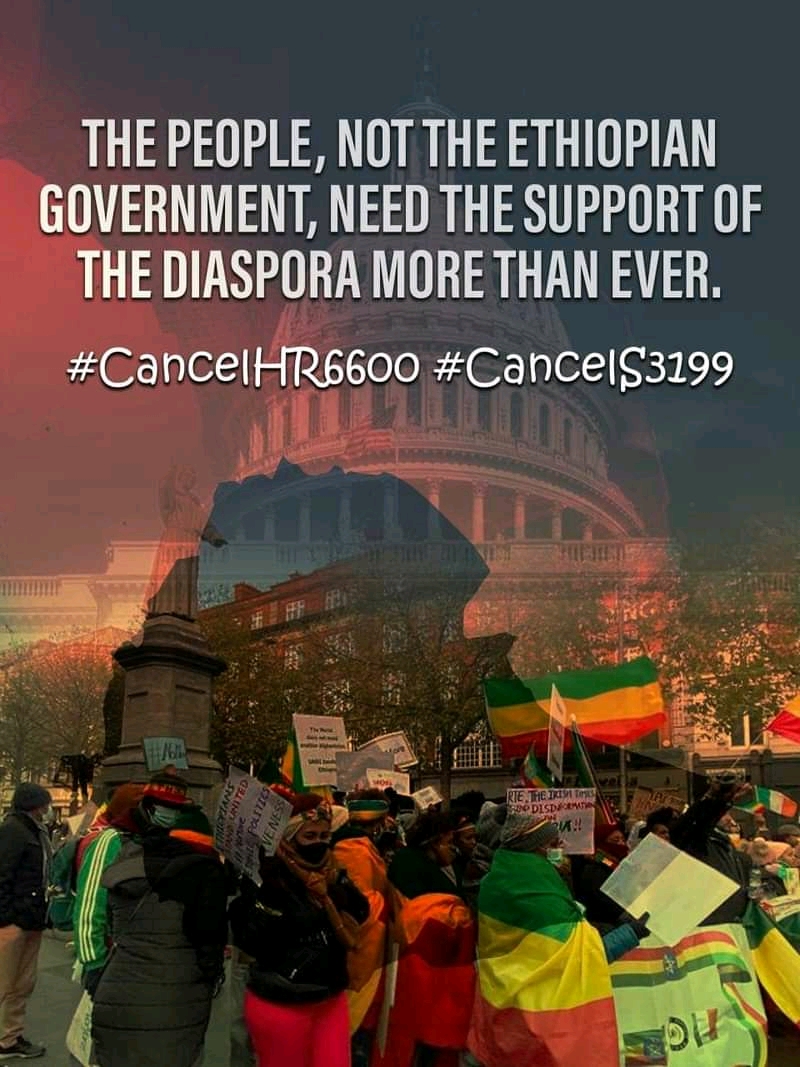 Amhara Media Corporation (@amecoonline) on Twitter photo 