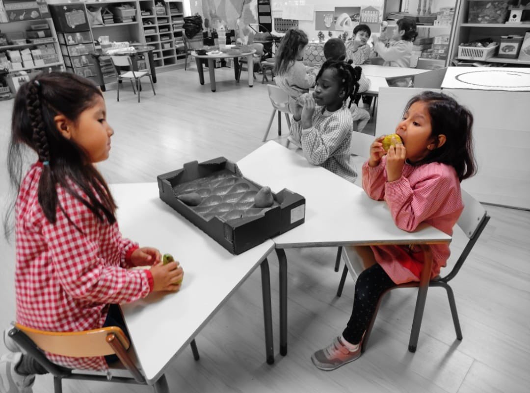 CEIP José Camón Aznar tweet media