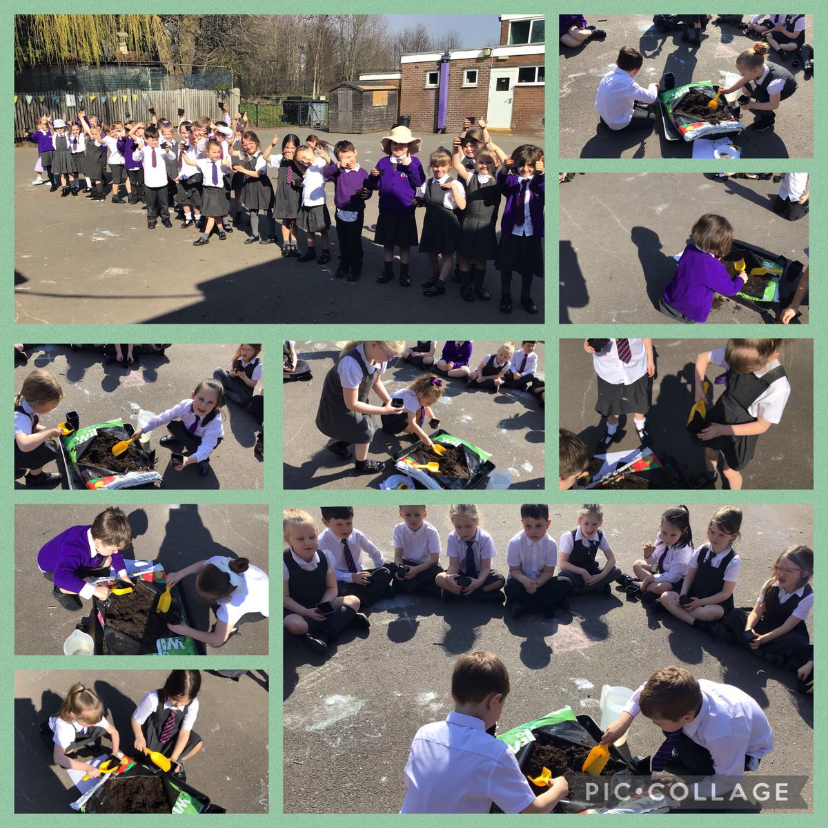 Year1Garston's tweet photo. This afternoon we have been learning all about the lifecycle of a plant.🪴 We went outside and planted some sunflower seeds then created our own life cycle information booklet! 🪴🌱☀️💧 #scienceinthesun #fulloffacts @GarstonCE @mrswain7 https://t.co/T8GWknXrw1