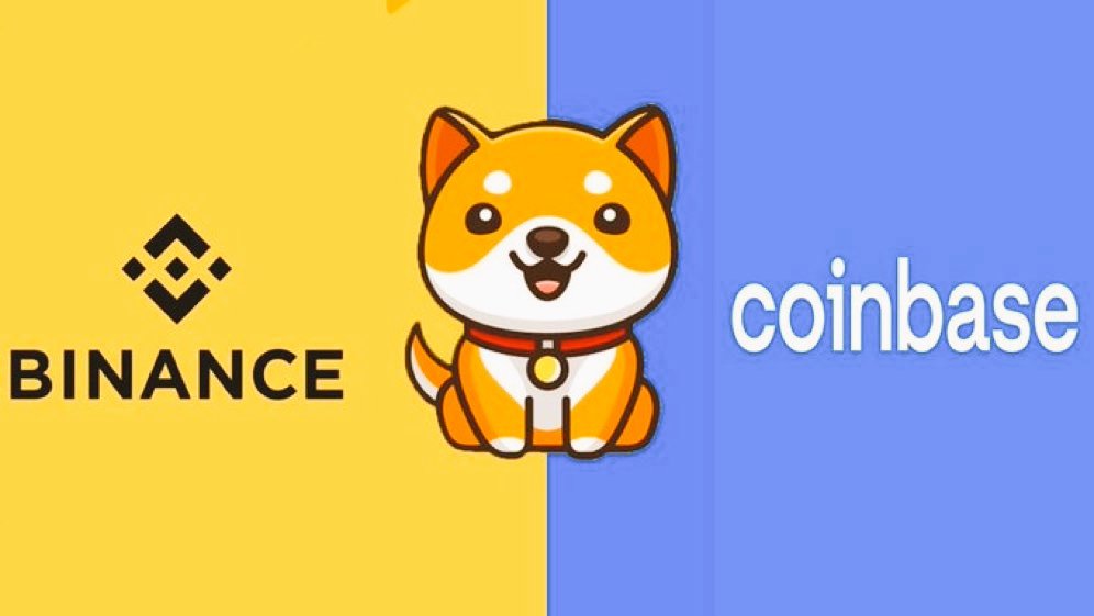 RajeshT09075339's tweet photo. @ShibInfo Can $SHIB babydoge coin go to $0.01 In 2022? 🧐

NO            YES        YES
👇              👇          👇 https://t.co/FP26xaOlst