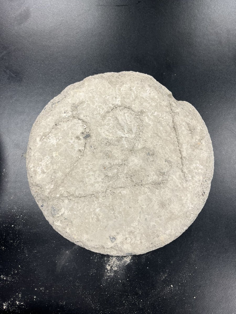 TeamPIC1's tweet photo. More #PICBricks to be put outside in our outside classroom area tomorrow morning. #plasticintocement #ecyber22 https://t.co/hKeZgjTsJG