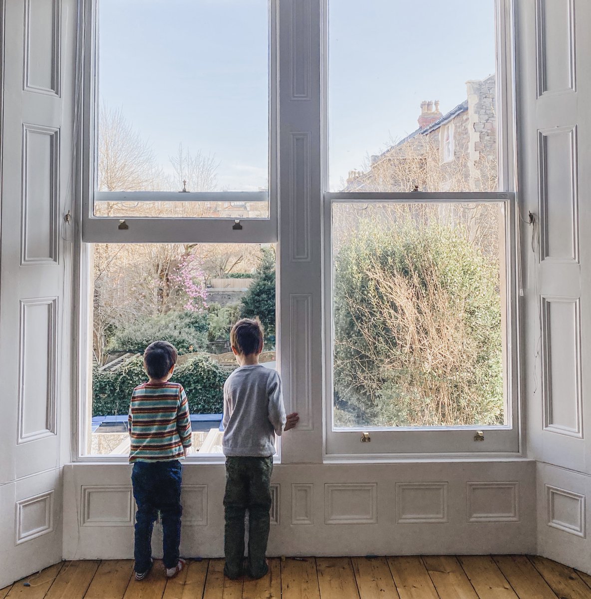 LondeBotanics tweet media