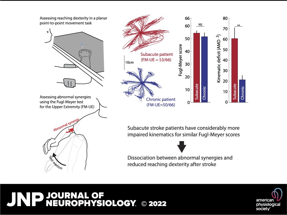 APSPublications's tweet image. Dissociation between abnormal motor synergies and impaired reaching #dexterity after #stroke (Hadjiosif et al.) - new in @JNeurophysiol 

ow.ly/mNtw50IrogF

#neuroscience #motorcontrol