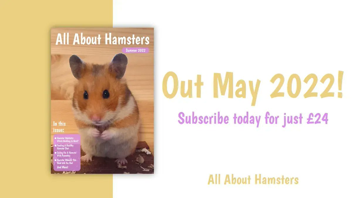 hamstersmag's tweet photo. We're so excited to be launching our magazine! The first issue will be coming out in just a few weeks time, so make sure you sign up!

In this issue we'll look at:
- Hamster Habitats: Which Bedding Is Best?
- A Hamster Enrichment DIY Project
- Hamsters Species Around the World https://t.co/Kh0xlaxwL7