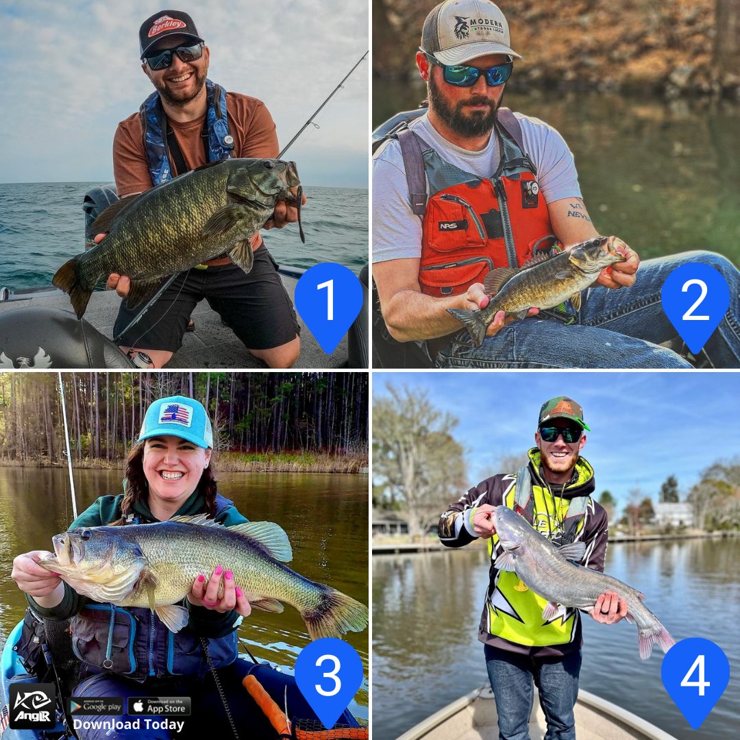 ANGLRfishingapp's tweet photo. Pick your favorite catch of the week in the comments below β¬οΈ
Want a chance to be featured? Tag us in your catches! π₯
#bass #liveforthewater #bassfishing #kayakfishing #largemouthbass #largemouth #fishing #anglrbullseye #anglrapp #fishingaddict #fishinglife #fishingislife https://t.co/EIxuaYTLaP