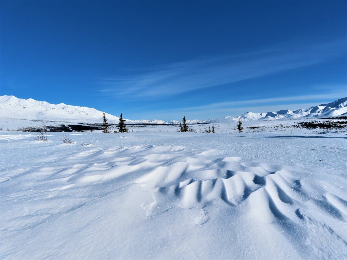 Blue sky and mountains surround an open, snowy landscape. The surface of the snow near the foreground is shaped into ripples