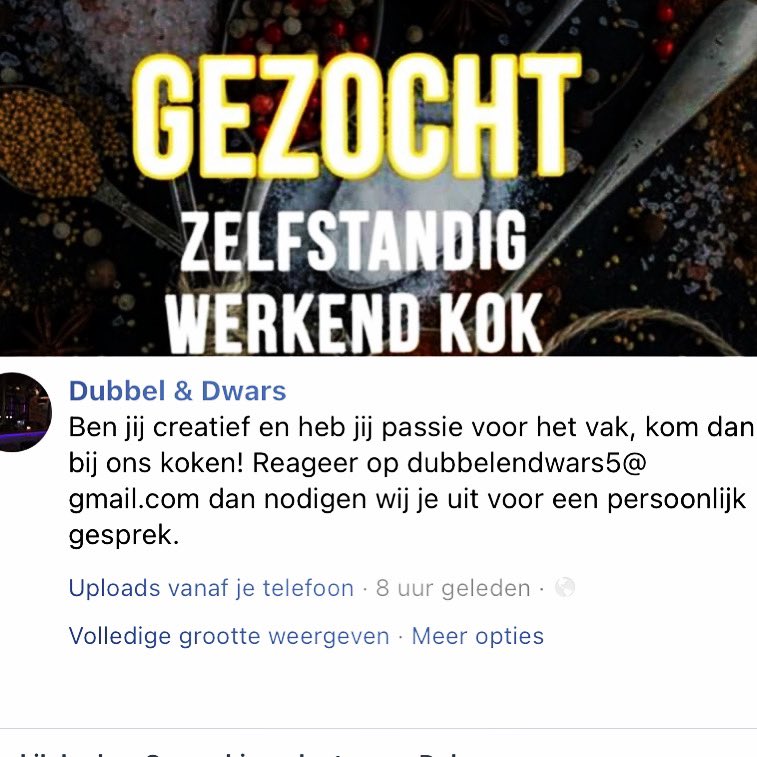 sander tweet media
