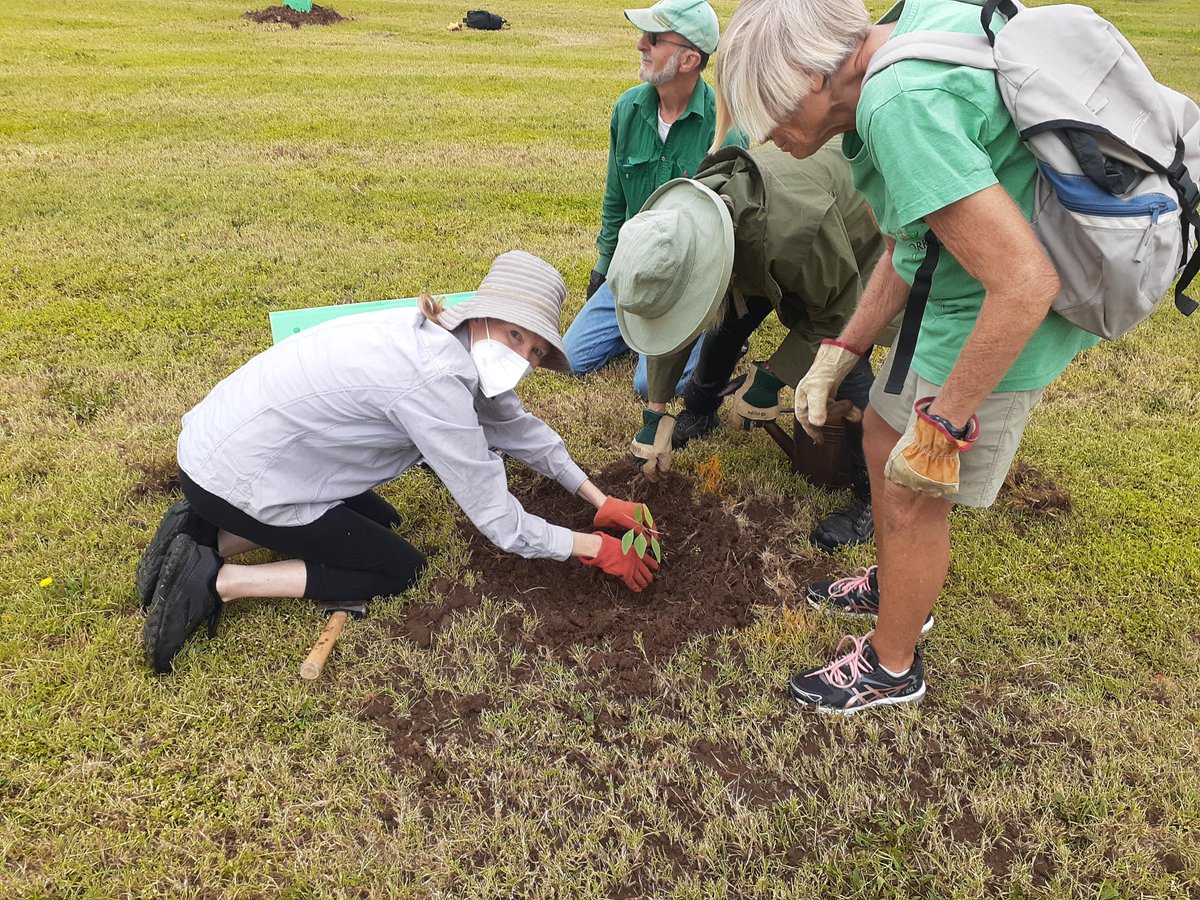 spottedquoll's tweet image. #ClimateStrike #ss4c #Tamworth hosted by Parents4ClimateAction. #renew #restore  Native #tree planting