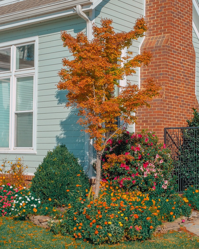 scottenlowphoto's tweet photo. Colors 🥰

#35mm #fujifilmx_us #fujiframez #myfujifilmlegacy
@fujifilmx_us https://t.co/gjpt8F4AQv
