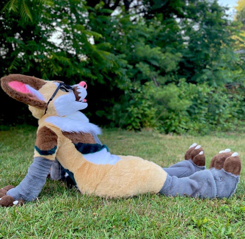 LoloFennec's tweet photo. So after much consideration, I’d decided to part with my cacomistle suit, Bassari. 

She’s a wonderfully made suit, very comfy to wear, but I just don’t connect with the character anymore.

Head fits up to 22 in. circumference, body fits someone 5’3” and up to 170lbs tops. https://t.co/utK9m4r8OX