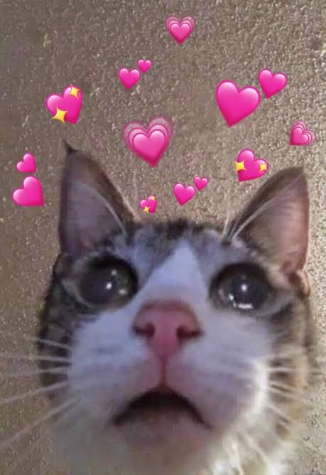 Yo cuando escuché a Ed Sheeran cantar en español