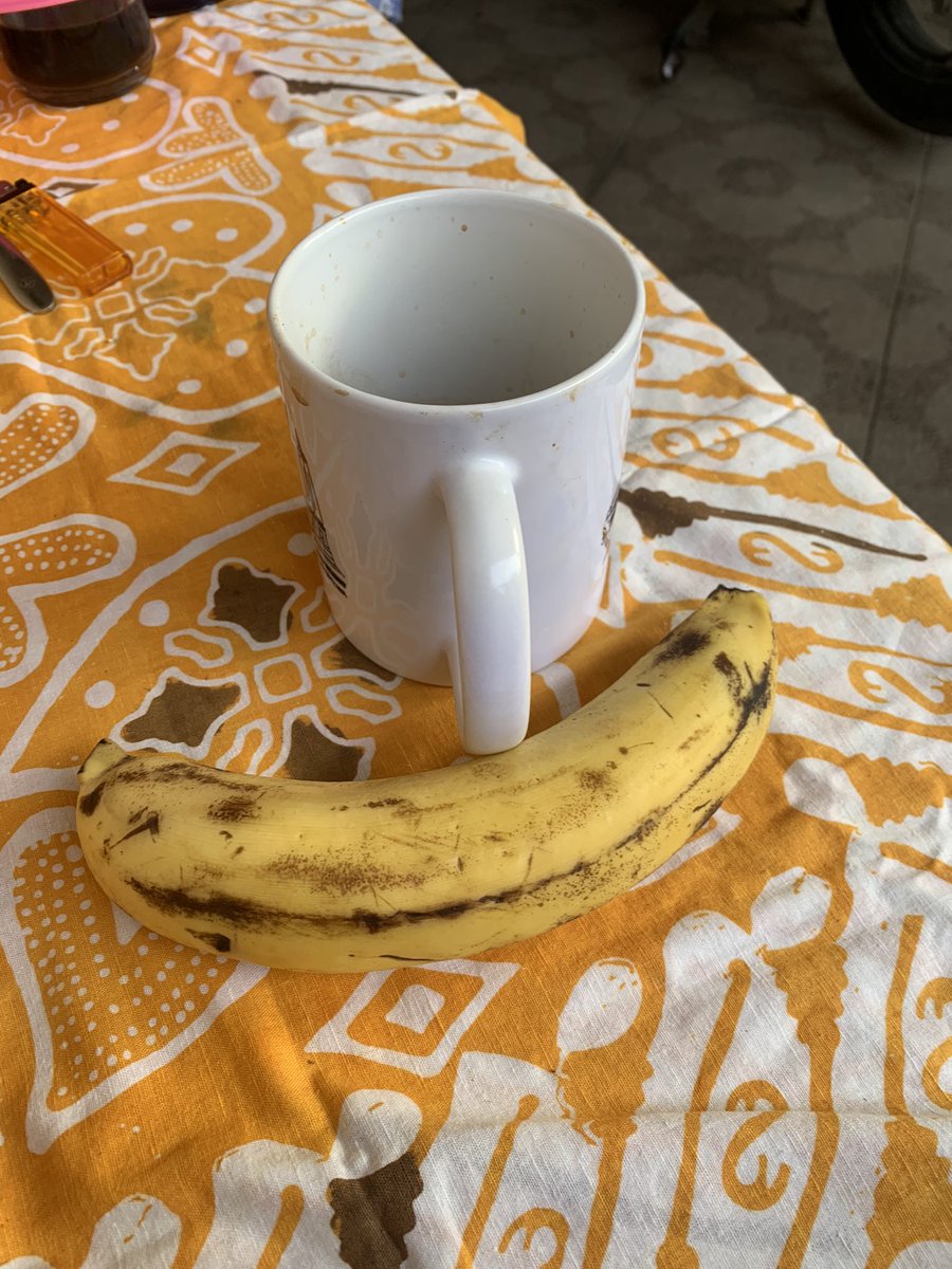 rahadion's tweet photo. Whats the story, morning glory... https://t.co/9xlJdSi8RC