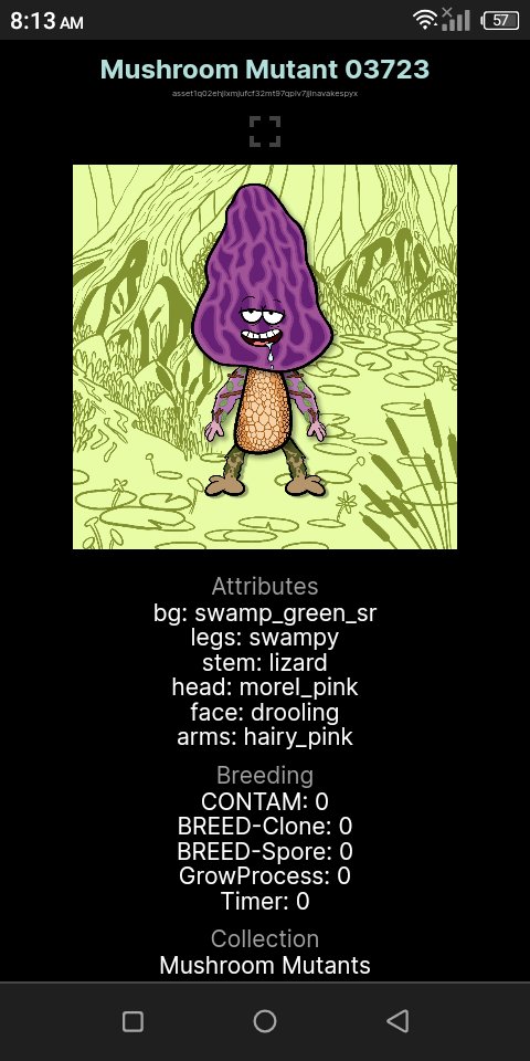 KULOT|BEAST 🐾 tweet media