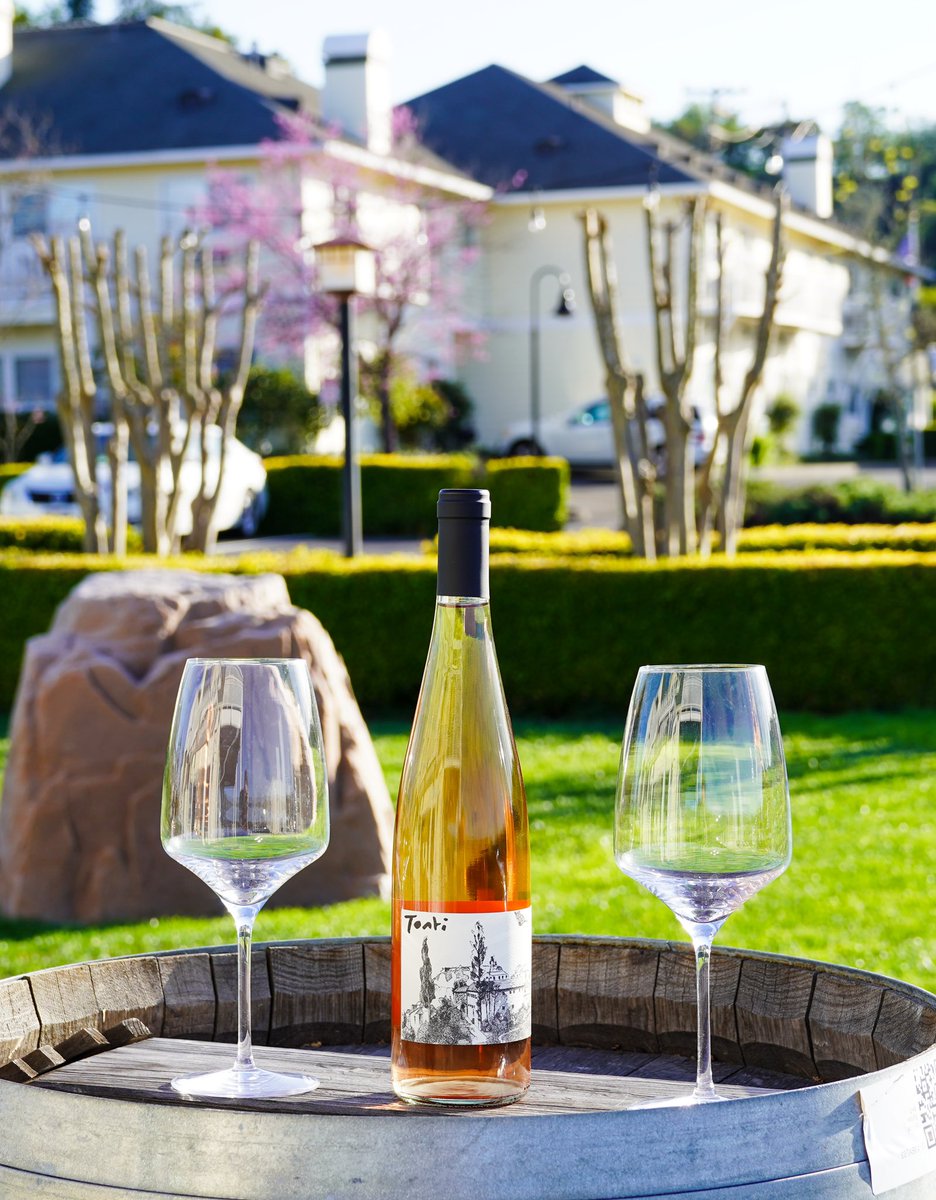 Spring is in the air!

#geyserville #visitgeyserville #healdsburg #visithealdsburg #sonomacounty #visitsonomacounty #alexandervalley #drycreekvalley