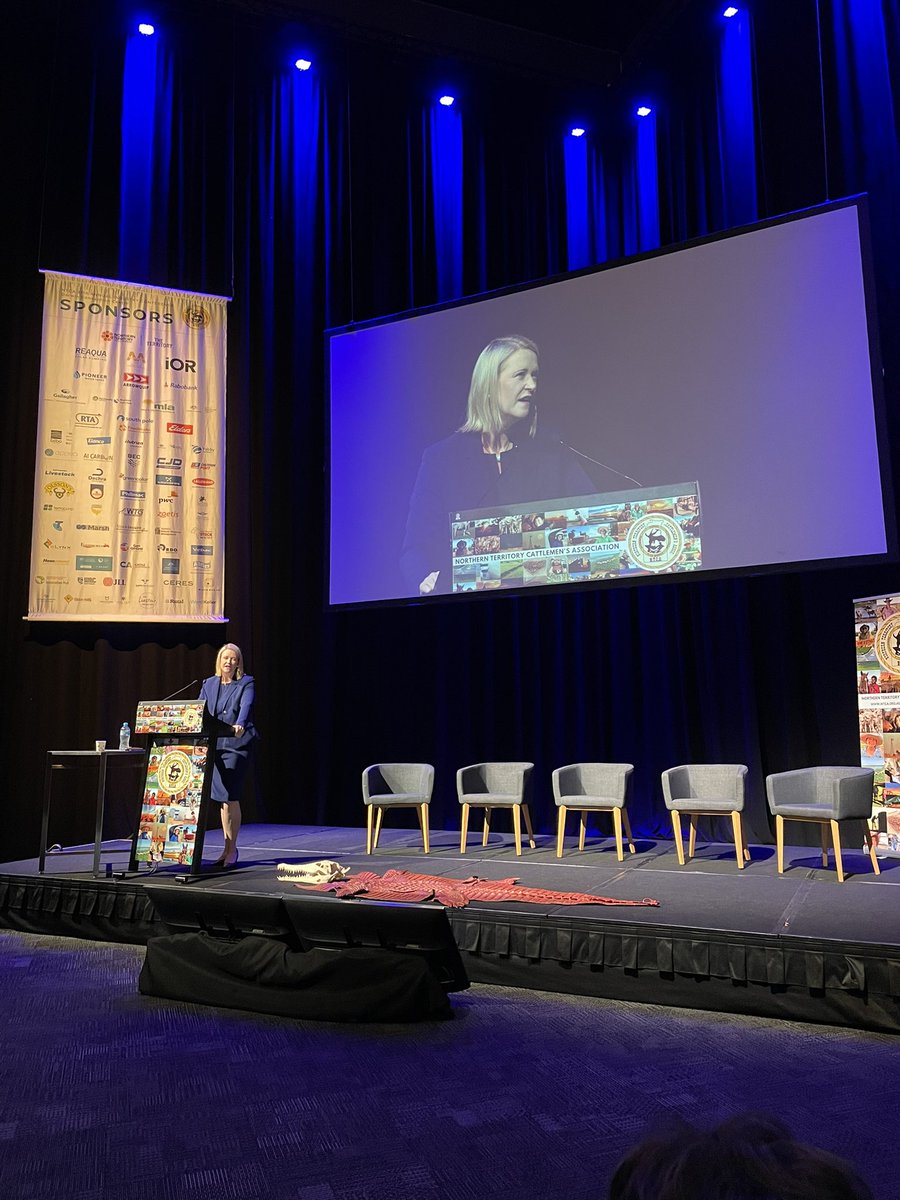 AustAgCo's tweet image. NT Agribusiness Minister @NicoleManison says the Territory’s cattle industry will play a key role in the NT goal to grow the economy to $40b by 2030. 

#NTCA2022
