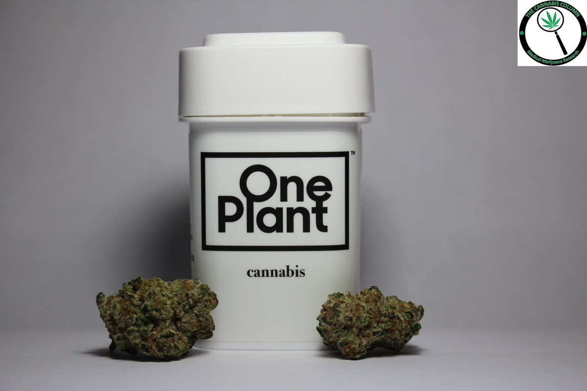 The Cannabis Column tweet media