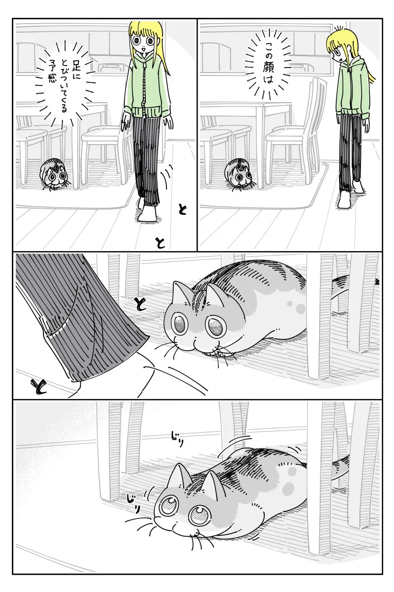 きゅるページ きゅるページ