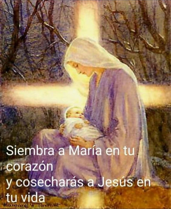 Madelca Vaca. (@madelca333) on Twitter photo <a href="/UleaJesus/">María Jesús Ulea</a> <a href="/mjarmas08/">Maria Armas</a> <a href="/oscardozou/">oscar e cardozo u</a> <a href="/abejaworld/">Silvia Hermida</a> <a href="/arauorinoco/">arauca orinoco</a> <a href="/nelida_mirtha/">Mirtha Nelida Castro</a> <a href="/esedonluis64/">Luis Peña</a> <a href="/lazaroyanes1/">lazaro yanes</a> <a href="/mickycastanedac/">👣💙 Maria</a> <a href="/avidalsb/">Alberto S.B.</a> <a href="/ELIZABETHNRE/">ELIZABETH ROMERO</a> <a href="/d_mhg/">Maria H. G.</a> <a href="/CarmenRiveraOc2/">Tus archivos, no son papeles.</a> <a href="/MyrIR5/">Myr 😊😇</a> <a href="/ANABERTHAValde4/">ANA BERTHA Valdez De Sainz</a> <a href="/FERMN01924143/">FERMÍN</a> <a href="/geminispoeta/">Mary Arav</a> <a href="/bernardettance/">Bernadette Ancelle</a> <a href="/irene46mx/">Irene Pulido</a> <a href="/XimPete/">Familia Olguin Pobl</a> <a href="/Amar69154631/">Amar</a> <a href="/ChaguaGloria/">Gloria Chagua</a> @juancammm <a href="/lita_03_07/">Lita Frances 🇦🇷</a> <a href="/grrhodriguez/">gloria rodriguez</a> <a href="/archimestreGD/">Arquimedes Guilarte Díaz</a> <a href="/VirgenCoromoto/">Virgen de Coromoto #VzlaOra🇻🇪🌹</a> <a href="/soybenito7/">Benito... 🐧</a> <a href="/Escribecanta/">Dra.Monica I.Fassi</a> <a href="/rafaelsotosa/">Rafael Soto</a> <a href="/amapolamontse/">Lucrecia</a> <a href="/anselmina07/">Anselmina</a> <a href="/sugeisdelvalle/">DV_DV❤️</a> <a href="/Relizabara/">Rhina Aragon</a> <a href="/Sollalli/">Marisole</a> <a href="/pgnora/">Nora Piña Ghazzaoui</a> <a href="/ernitaca26/">Ernis</a> <a href="/Cristinayeo/">#MamáPorSiempre!</a> <a href="/fgonzalez408/">felipe gonzalez</a> <a href="/SANFERALE/">Be Vila Señoráns</a> <a href="/Jaimeleyva1568/">Jaime Alberto Leyva 🇨🇴🇨🇴🇨🇴</a> <a href="/neronmcn/">Michel Neron</a> <a href="/Susympb/">Susy</a> <a href="/dorasanchez1016/">dora sanchez</a> <a href="/AELHUZ/">ALMA, EL PODER DE LA ORACION</a> <a href="/Alejand94907724/">Alejandra</a> <a href="/capleon81/">Ángel</a> <a href="/Lmaria_victoria/">Maria Victoria 🇦🇷🏹🎯✝️📿</a> <a href="/MLucia_martinez/">Lucia Martinez</a> <a href="/pachas14/">Francisco Esparza</a> Oremos juntos...🙏 <a href="/UleaJesus/">María Jesús Ulea</a> <a href="/mjarmas08/">Maria Armas</a> <a href="/oscardozou/">oscar e cardozo u</a> <a href="/abejaworld/">Silvia Hermida</a> <a href="/arauorinoco/">arauca orinoco</a> <a href="/nelida_mirtha/">Mirtha Nelida Castro</a> <a href="/esedonluis64/">Luis Peña</a> <a href="/lazaroyanes1/">lazaro yanes</a> <a href="/mickycastanedac/">👣💙 Maria</a> <a href="/avidalsb/">Alberto S.B.</a> <a href="/ELIZABETHNRE/">ELIZABETH ROMERO</a> <a href="/d_mhg/">Maria H. G.</a> <a href="/CarmenRiveraOc2/">Tus archivos, no son papeles.</a> <a href="/MyrIR5/">Myr 😊😇</a> <a href="/ANABERTHAValde4/">ANA BERTHA Valdez De Sainz</a> <a href="/FERMN01924143/">FERMÍN</a> <a href="/geminispoeta/">Mary Arav</a> <a href="/bernardettance/">Bernadette Ancelle</a> <a href="/irene46mx/">Irene Pulido</a> <a href="/XimPete/">Familia Olguin Pobl</a> <a href="/Amar69154631/">Amar</a> <a href="/ChaguaGloria/">Gloria Chagua</a> @juancammm <a href="/lita_03_07/">Lita Frances 🇦🇷</a> <a href="/grrhodriguez/">gloria rodriguez</a> <a href="/archimestreGD/">Arquimedes Guilarte Díaz</a> <a href="/VirgenCoromoto/">Virgen de Coromoto #VzlaOra🇻🇪🌹</a> <a href="/soybenito7/">Benito... 🐧</a> <a href="/Escribecanta/">Dra.Monica I.Fassi</a> <a href="/rafaelsotosa/">Rafael Soto</a> <a href="/amapolamontse/">Lucrecia</a> <a href="/anselmina07/">Anselmina</a> <a href="/sugeisdelvalle/">DV_DV❤️</a> <a href="/Relizabara/">Rhina Aragon</a> <a href="/Sollalli/">Marisole</a> <a href="/pgnora/">Nora Piña Ghazzaoui</a> <a href="/ernitaca26/">Ernis</a> <a href="/Cristinayeo/">#MamáPorSiempre!</a> <a href="/fgonzalez408/">felipe gonzalez</a> <a href="/SANFERALE/">Be Vila Señoráns</a> <a href="/Jaimeleyva1568/">Jaime Alberto Leyva 🇨🇴🇨🇴🇨🇴</a> <a href="/neronmcn/">Michel Neron</a> <a href="/Susympb/">Susy</a> <a href="/dorasanchez1016/">dora sanchez</a> <a href="/AELHUZ/">ALMA, EL PODER DE LA ORACION</a> <a href="/Alejand94907724/">Alejandra</a> <a href="/capleon81/">Ángel</a> <a href="/Lmaria_victoria/">Maria Victoria 🇦🇷🏹🎯✝️📿</a> <a href="/MLucia_martinez/">Lucia Martinez</a> <a href="/pachas14/">Francisco Esparza</a> Oremos juntos...🙏