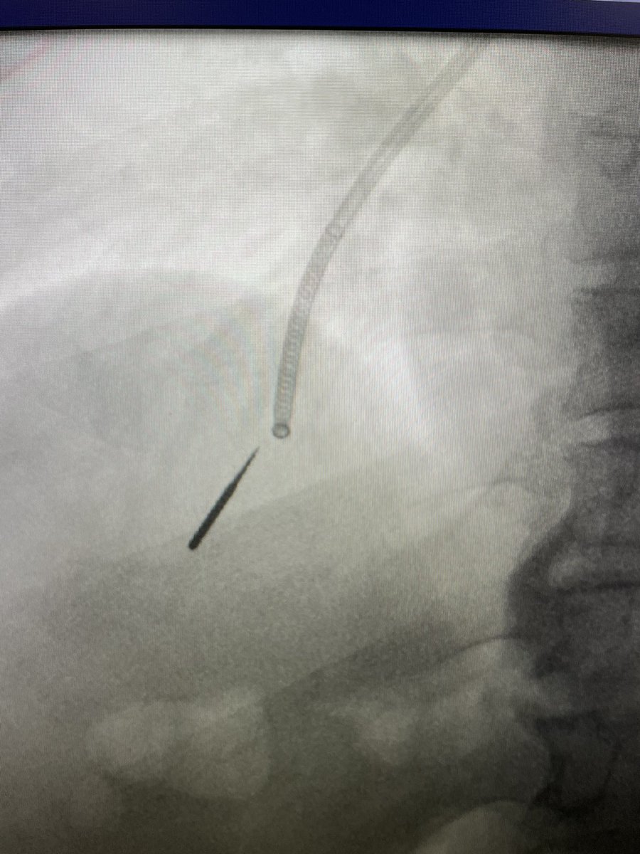 AB Alraiyes tweet media