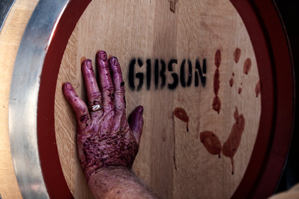 United Cellars tweet media