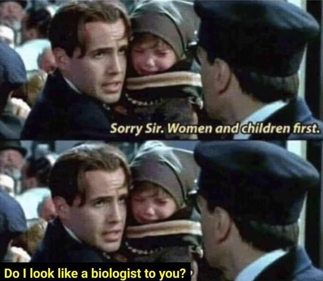 Ckanyinda_116's tweet image. 🤣🤣🤣🤣🤣🤣🤣🤣🤣🤣🤣🤣
#defineWoman