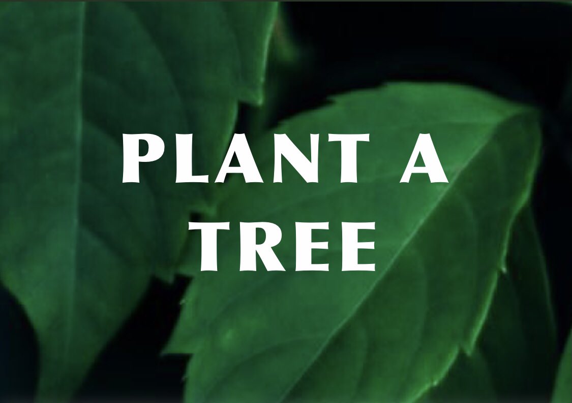 <a href="/KambojAnanya/">Ananya Kamboj 🇮🇳🇨🇦</a> <a href="/MonaPatelT/">Mona Patel 🇮🇳🐅🌳</a> <a href="/Chavivohra/">Chavi Vohra</a> <a href="/mrEmTee/">Mr MT</a> <a href="/OlumideIDOWU/">Mr. Climate</a> <a href="/ECOWARRIORSS/">GO GREEN</a> <a href="/sumuelahi/">Sumu Elahi</a> <a href="/BeeAsMarine/">🐝 Dr. Marine TREBAUL Ⓥ𓃟 PhD - #SDGs - #Breton</a> <a href="/ArunYadav0007/">Arun Yadav🇮🇳🌳🌴🌱🌲</a> <a href="/SteveMisatih/">Steve Misati</a> <a href="/KabilaObbo/">Kabila Jonathan Obbo</a> <a href="/ImandiU/">Imandi Udukumbura</a> <a href="/MyTreeTV/">MyTreeTV 🌳</a> <a href="/ZillionTree/">ZillionTree</a> <a href="/endelstamberg/">Endel Stamberg #FightFor1Point5</a> <a href="/JanineClimate/">💧 @ClimateJanine.Bsky.Social</a> <a href="/parents4future/">Parents For Future #EndFossilFuels - P4F Germany</a> <a href="/AaravSeth_/">AaravSeth🇮🇳</a> <a href="/JeannetteWibmer/">Dr. @jeannettewibmer.bsky.social</a> Urban Trees🌳&amp; #ClimateChange
Trees🌴help mitigate greenhouse gas emissions
Trees🌲a healthy urban canopy
are an important tool in our toolbox
Trees🍀store carbon—filter air
reduce stormwater-pollution-cool
our urban landscapes—support
social connections—provide
wildlife habitat