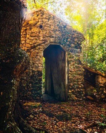 A limestone  dee-feeding structure with a tree in the foreground. 