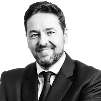 The Zebra Project tweet media