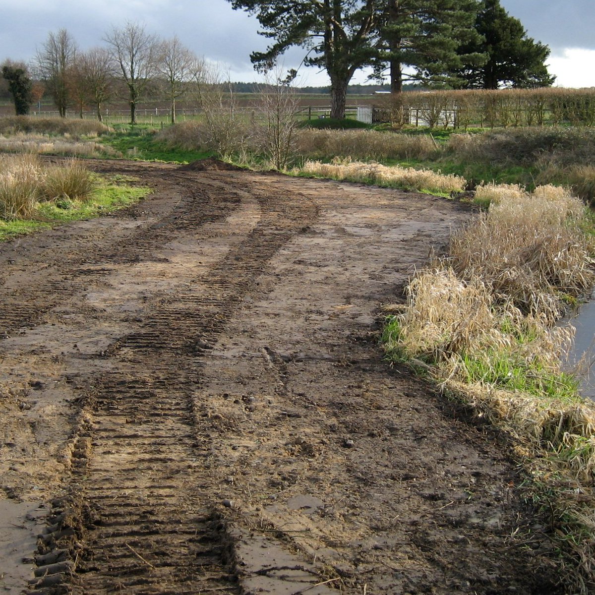 Prof Carl Sayer tweet media