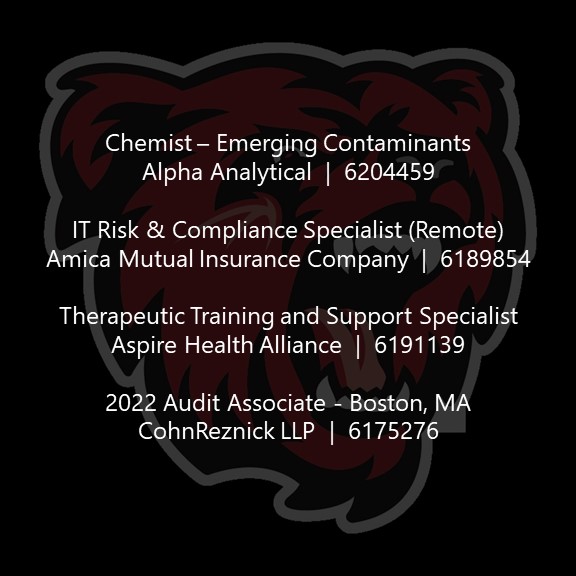 Career Services & Internships at BSU tweet media