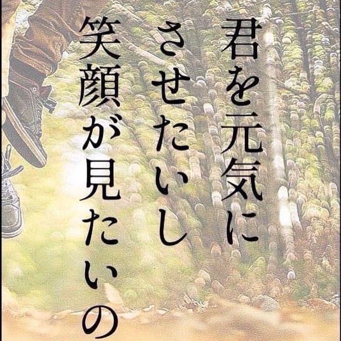 花言葉のtwitterイラスト検索結果