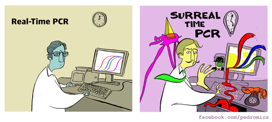 c0nc0rdance tweet media