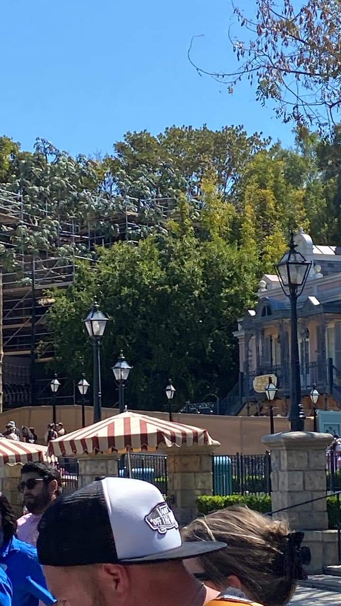 zacreligious's tweet photo. @FrshBakedDisney Trees are gonzo. 😭 https://t.co/IXgkWafrnU