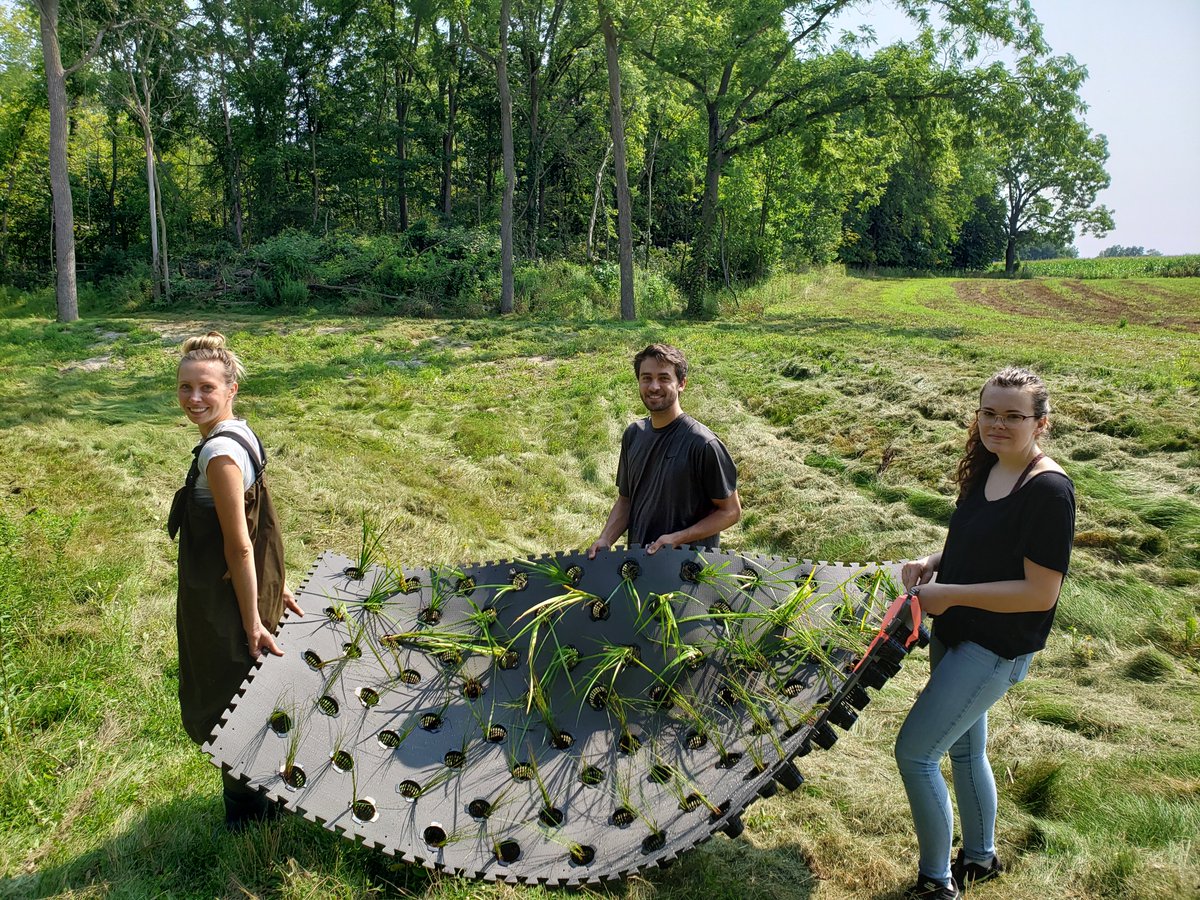 IWR_MSU's tweet photo. IWR at upcoming ANREP conference in K-zoo: Effectiveness of Constructed Wetlands with Floating Plants in Removing Nutrients from Tile Drain 
Registration open now https://t.co/mGj8s1hE0V https://t.co/wUrTpqXFkB