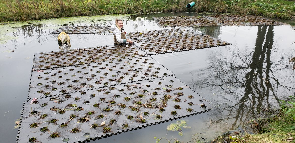 IWR_MSU's tweet photo. IWR at upcoming ANREP conference in K-zoo: Effectiveness of Constructed Wetlands with Floating Plants in Removing Nutrients from Tile Drain 
Registration open now https://t.co/mGj8s1hE0V https://t.co/wUrTpqXFkB
