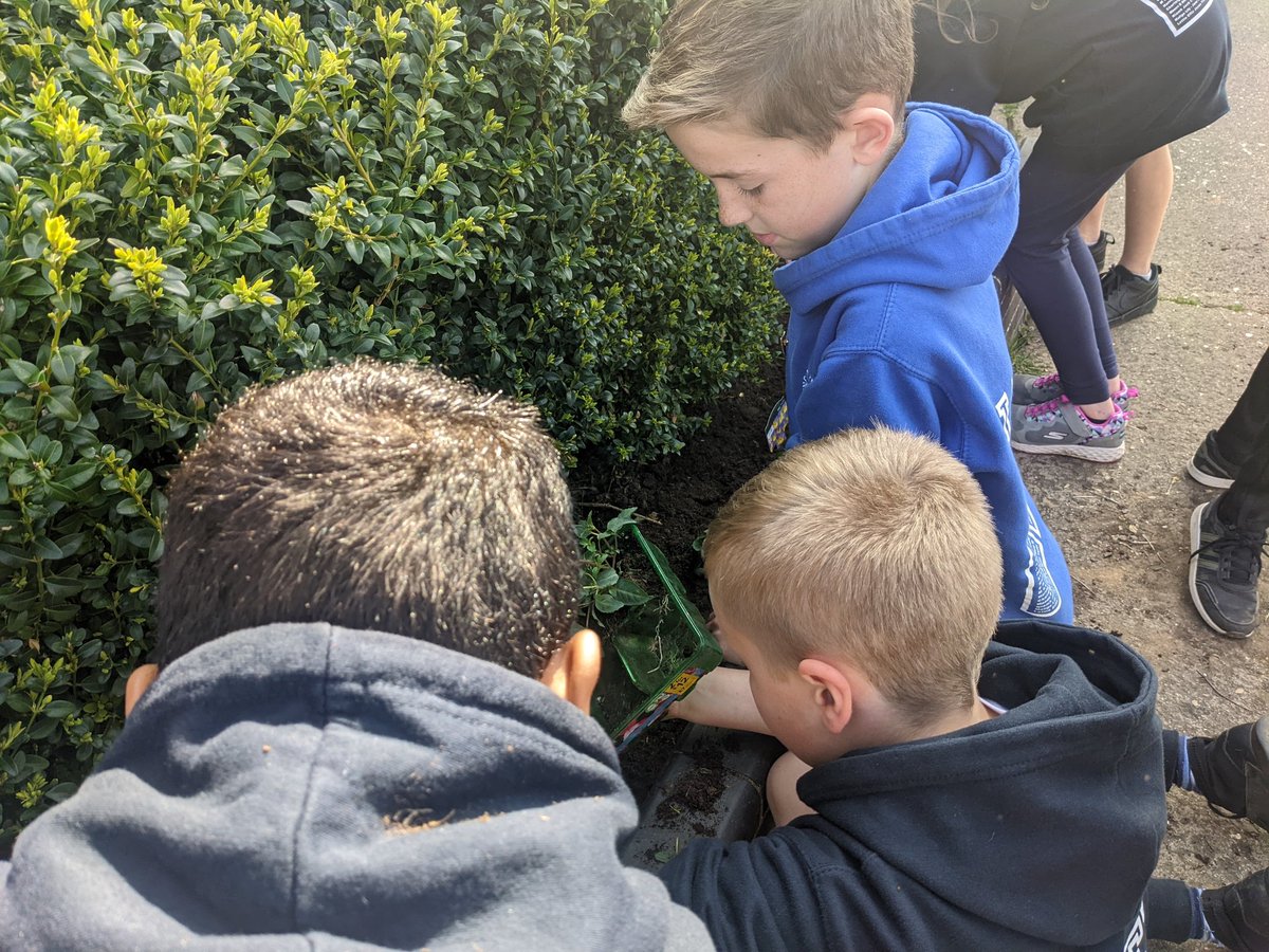 SpringCottagePS's tweet image. Spring into Spring for #SpringCottage6TU 🌷🌻🌺☀️