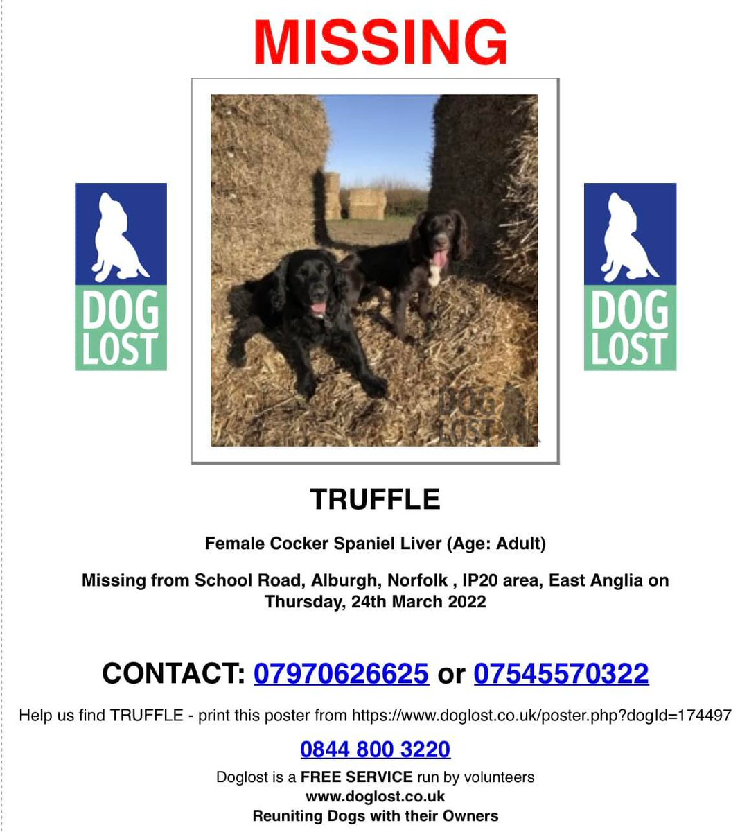 DogLost Norfolk Suffolk & Cambridgeshire tweet media