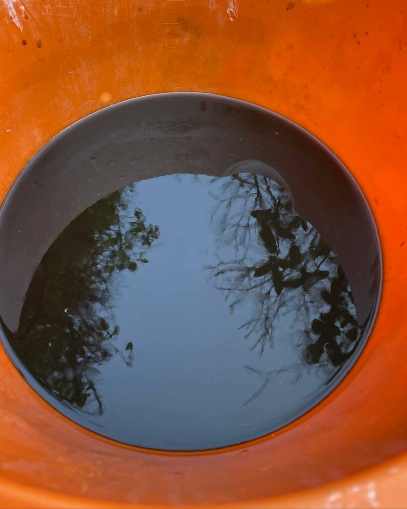 I’ve been very busy these last few weeks trying to perfect more waste disposal processes that come from my darkroom photographic practice, it’s hard not to actually make something in terms of ‘finished’ work and spend time on behind-the-scene processes. But these are intrins…