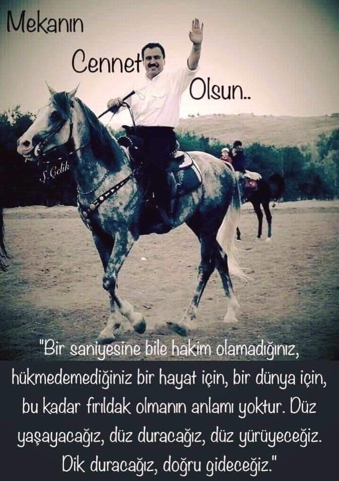 Serkan B tweet media