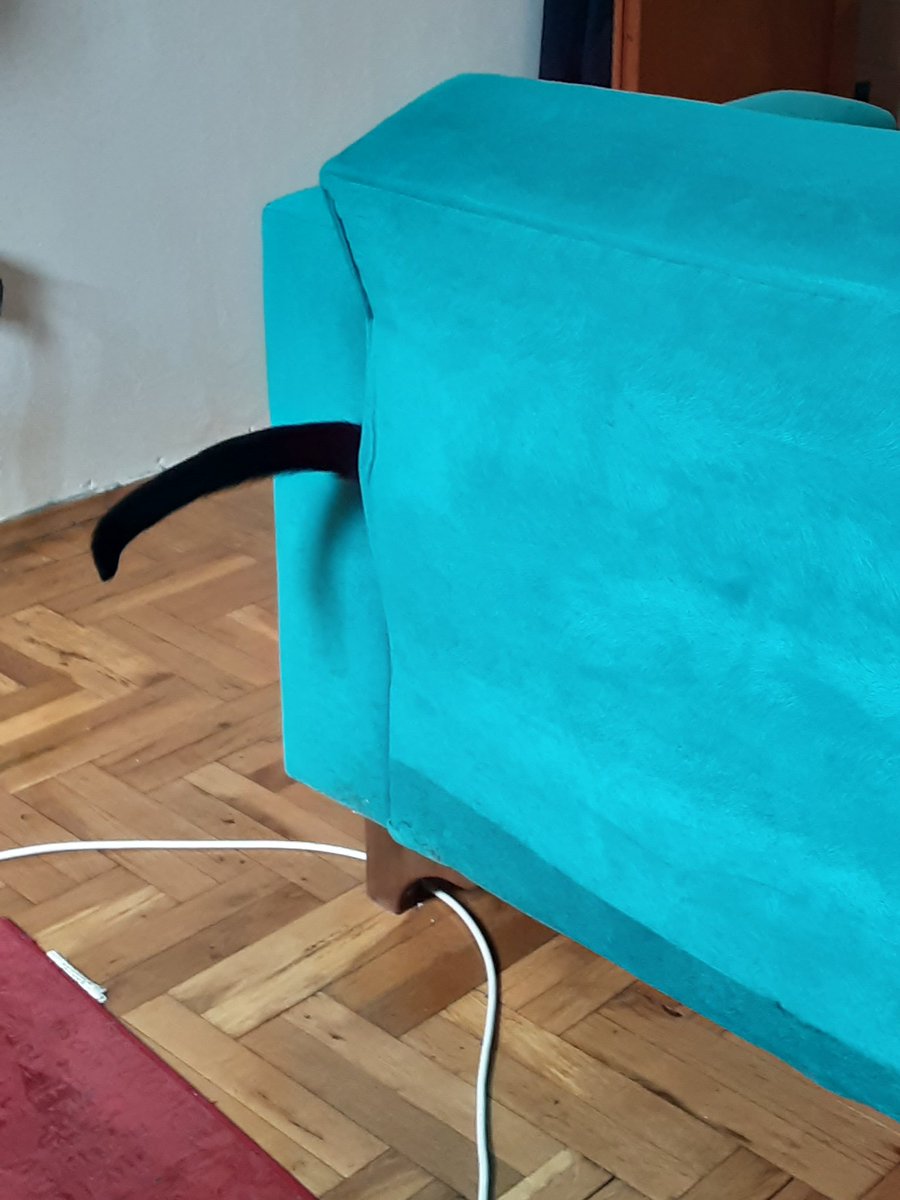 Arda Aydin tweet media