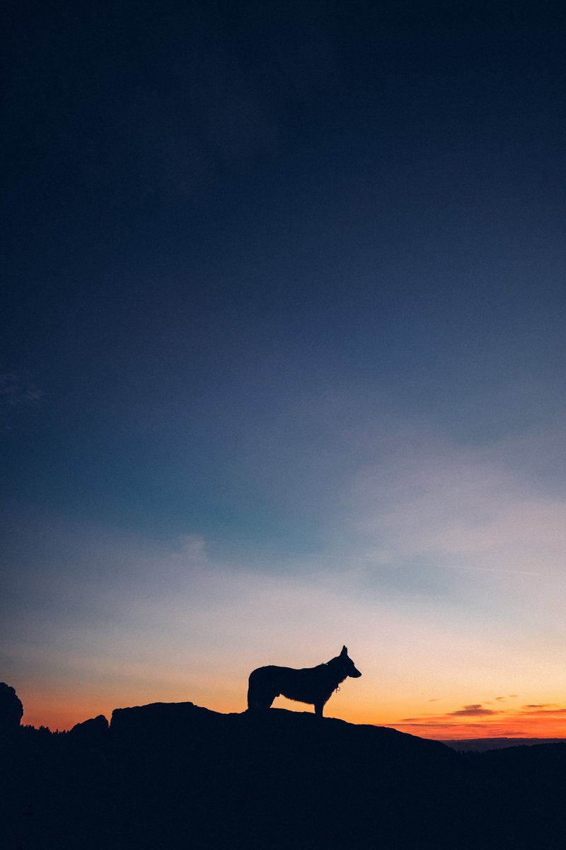 GN ✨
#sitkathewolf