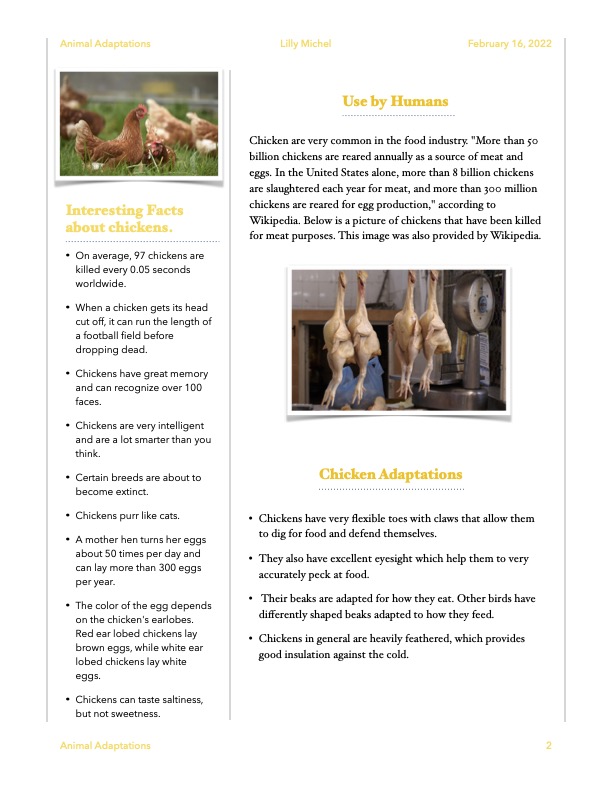 cyoungmoore76's tweet photo. Shout out to BSE 5th graders for creating newsletters using Pages to explain how variations in characteristics among individuals within the same species may provide advantages to their survival and reproduction. #creationatbaileystation @AppleEDU @BaileyBears05 @cville_schools https://t.co/eResWO5Oju