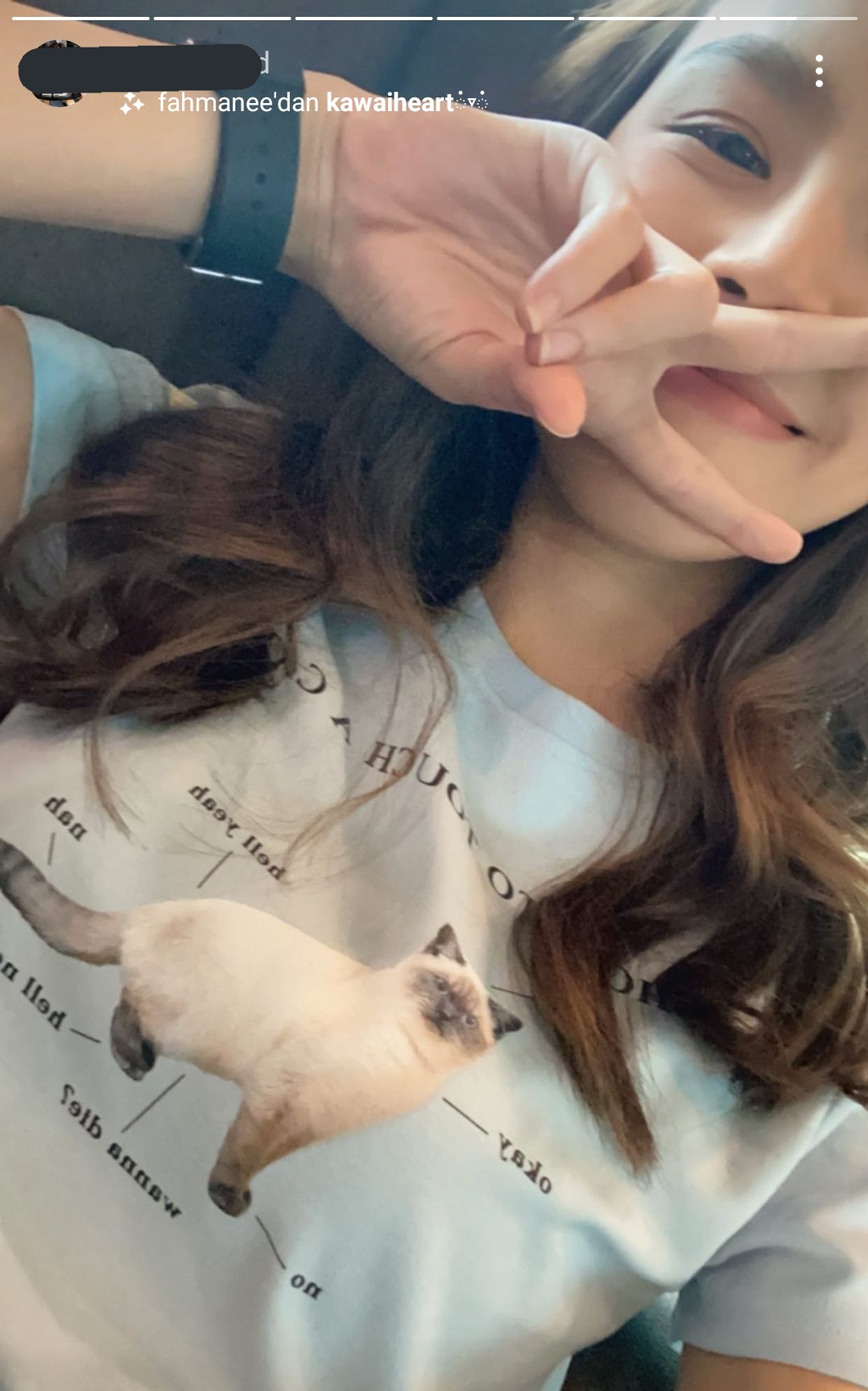ITZAVIBE☆I LOVE CATS NOT YOU X KANZE TEE ITZAVIBE 22 S/S : I LOVE CATS NOT YOU - ITZAVIBE