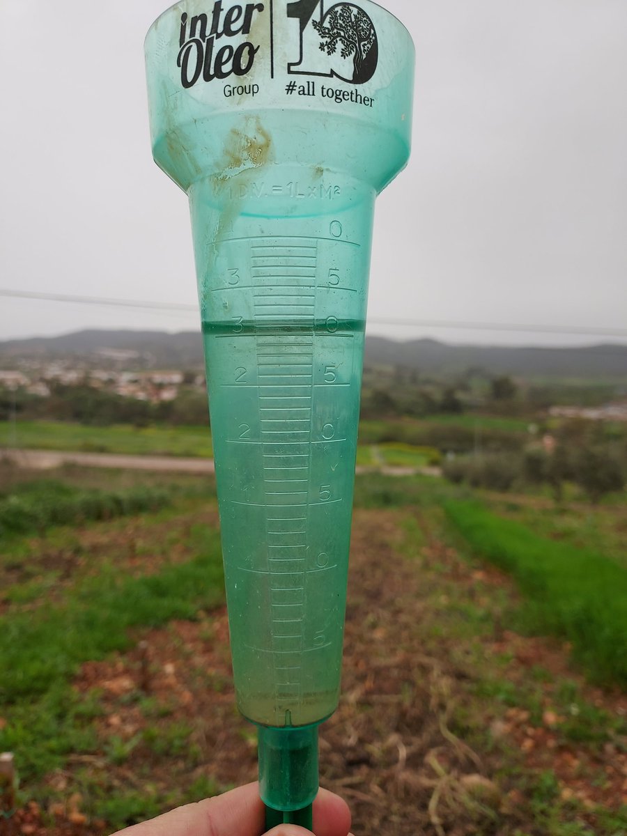 🗣🗣 2ª hoja para esta viña!! 

Ya asoma algún racimo flamenco 💃💃
Este año le quitaremos la fruta 🍇 🍇 para que la planta haga raíz y desarrolle, y en 3ª hoja vendimiaremos las primeras uvas.

Además, buenas noticias con 54 litros la semana pasada y 31 esta = 85 mm.