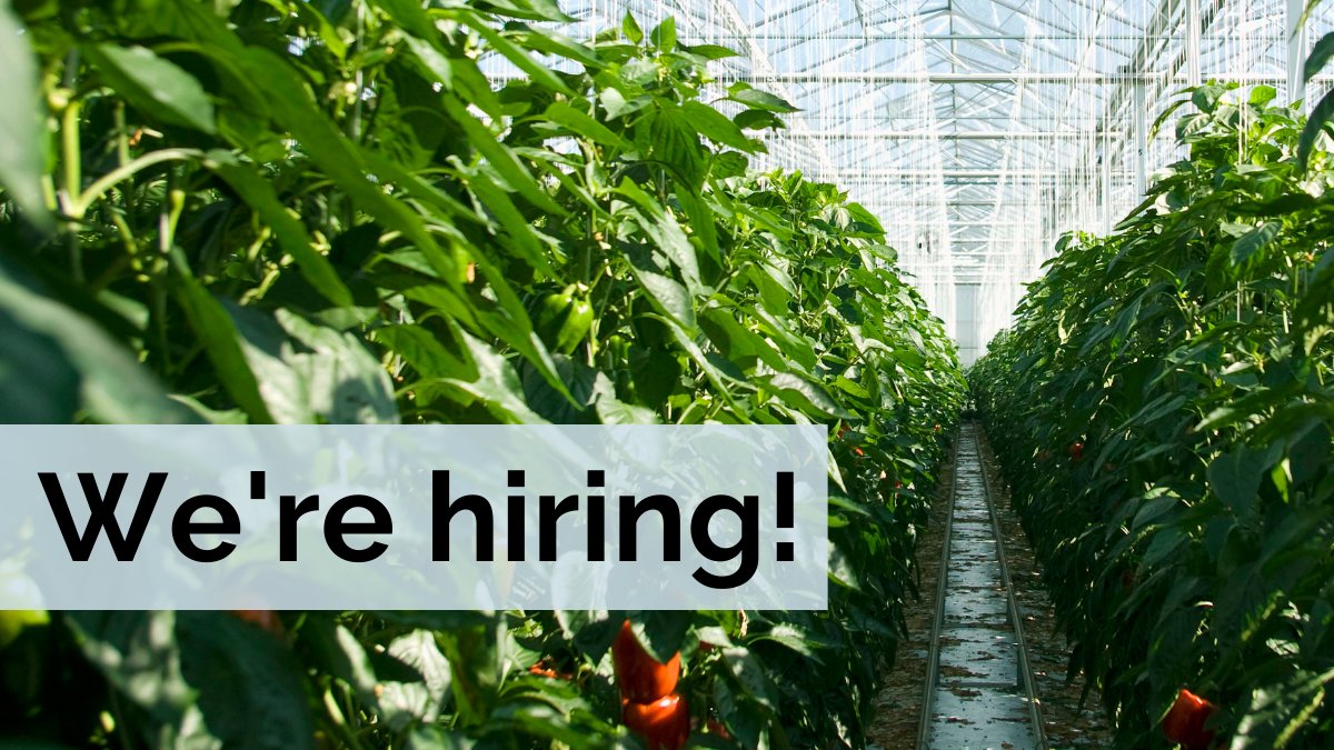 UMNHorticulture's tweet image. We&apos;re hiring! Join our team of researchers and academics as a faculty member leading research on Controlled Environments in horticultural science! 
Learn more and apply at z.umn.edu/hortfacultysea…
#higheredjobs #controlledenvironments
