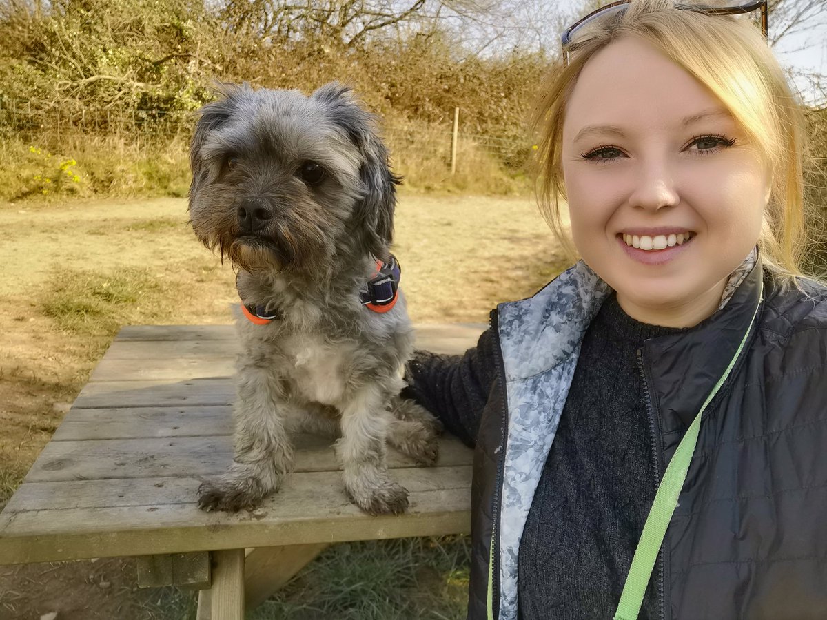 OuldHannah's tweet photo. Dog walking today in this gorgeous weather. https://t.co/sD47JWQLbo