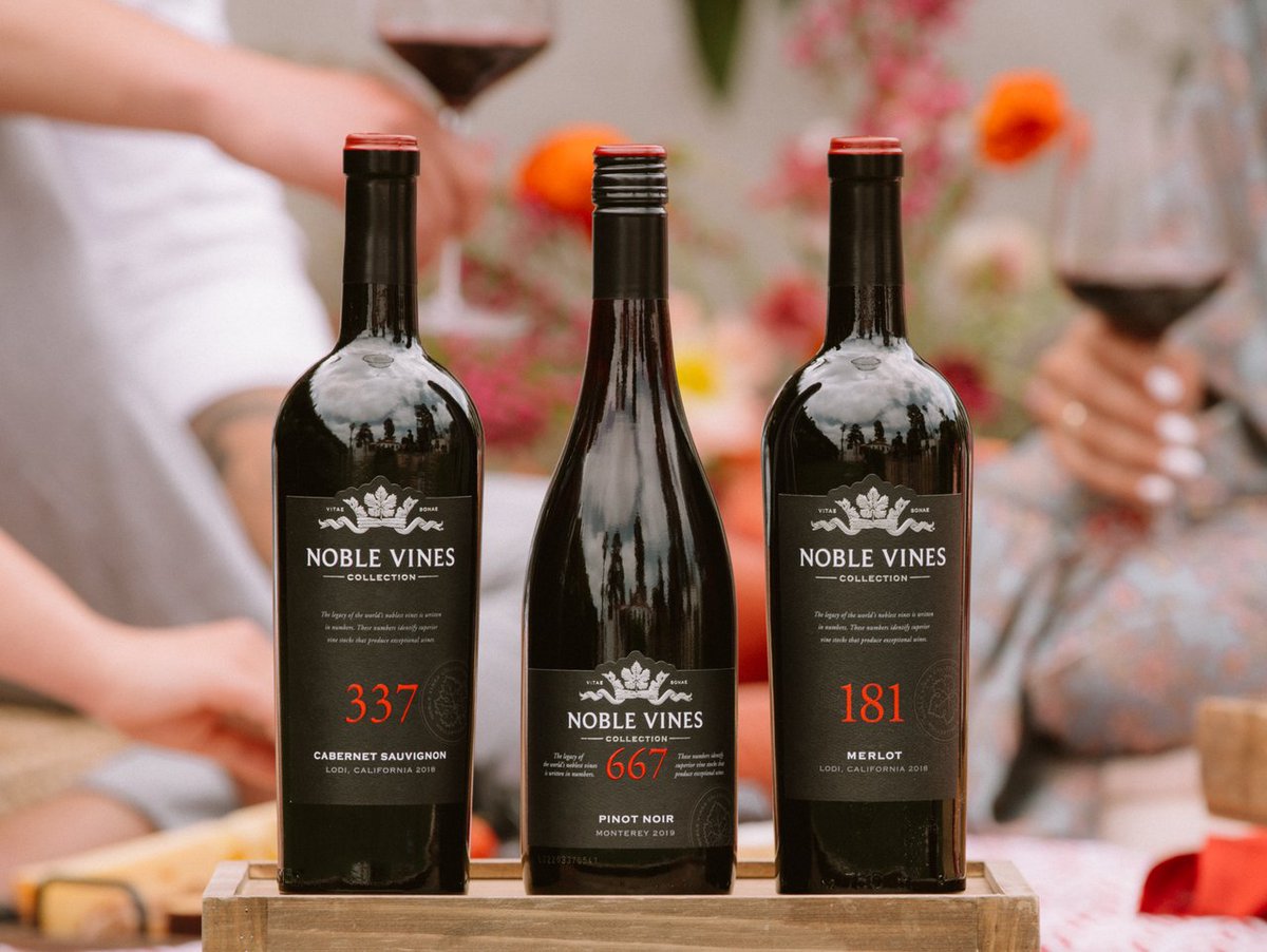 NobleVinesWine's tweet photo. These are really grape 🍇 #NobleVines https://t.co/V8KThAVhiT